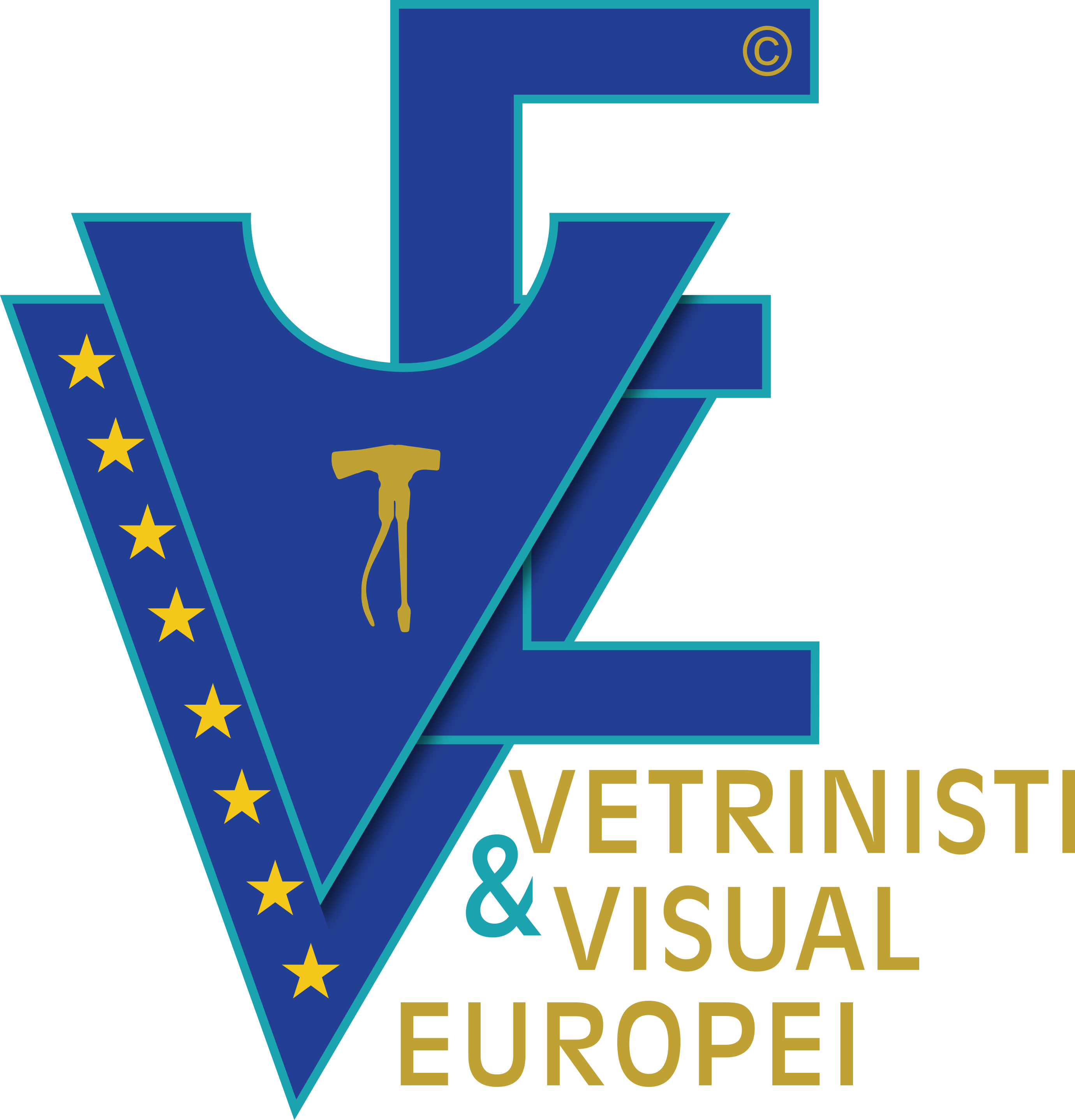 Vetrinisti & Visual Europei